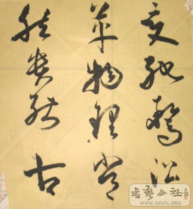 DSC03836.JPG