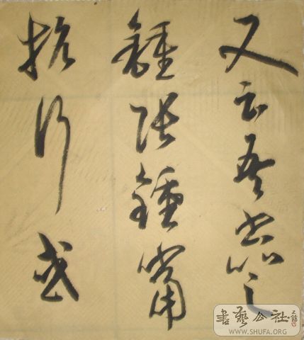 DSC03833.JPG