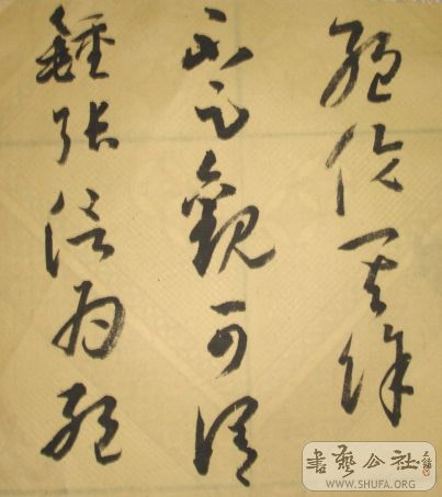 DSC03840.JPG
