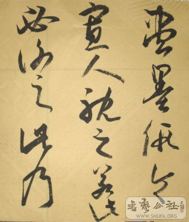 DSC03835.JPG