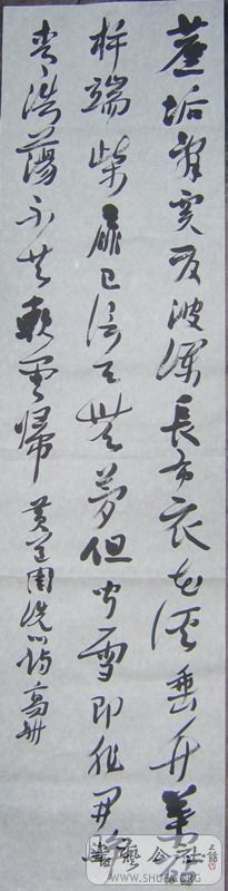 STA60003.JPG
