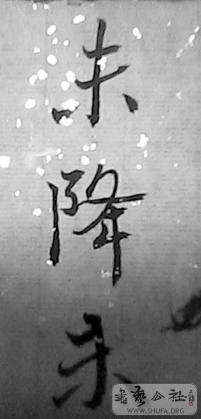IMG0148A.jpg