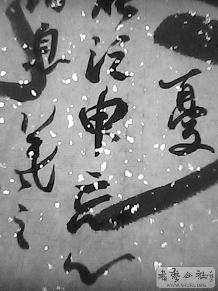 IMG0146A.jpg