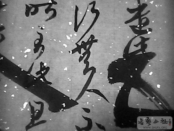 IMG0156A.jpg