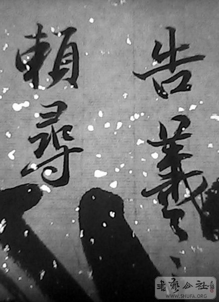 IMG0149A.jpg