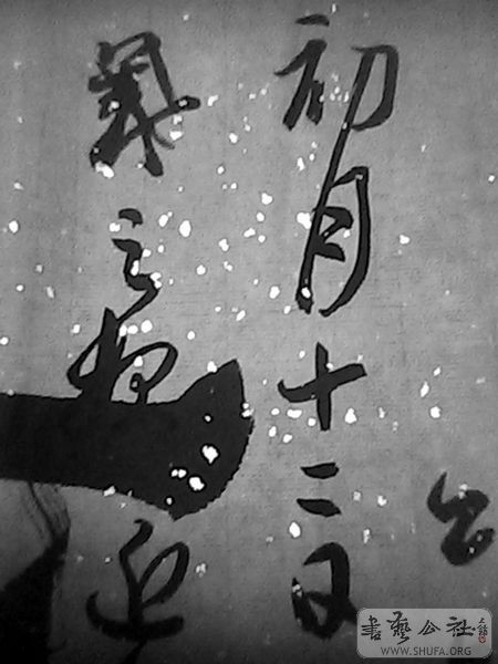 IMG0153A.jpg