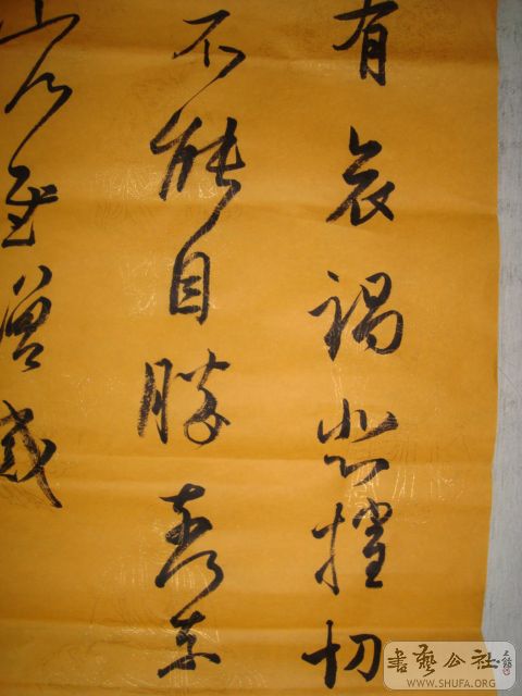 DSC00830.JPG