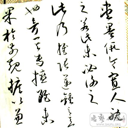 DSC03850.JPG
