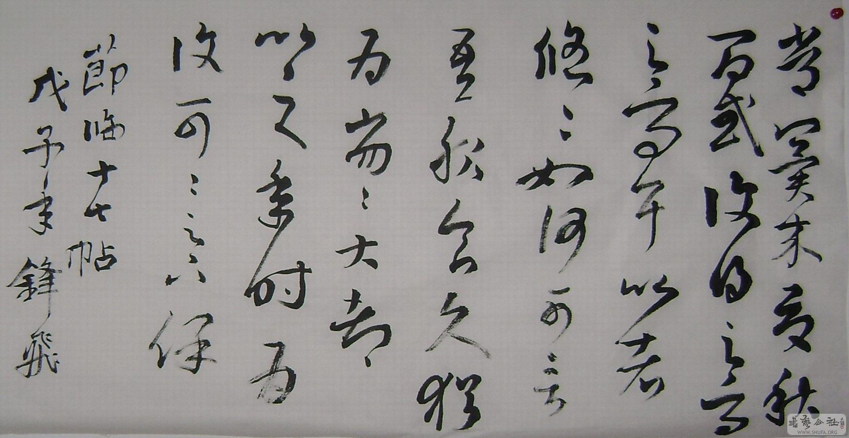 DSC01869.JPG