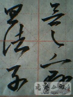 IMG0196A.jpg