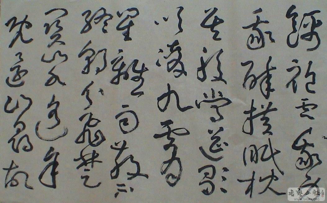 DSC07138.JPG