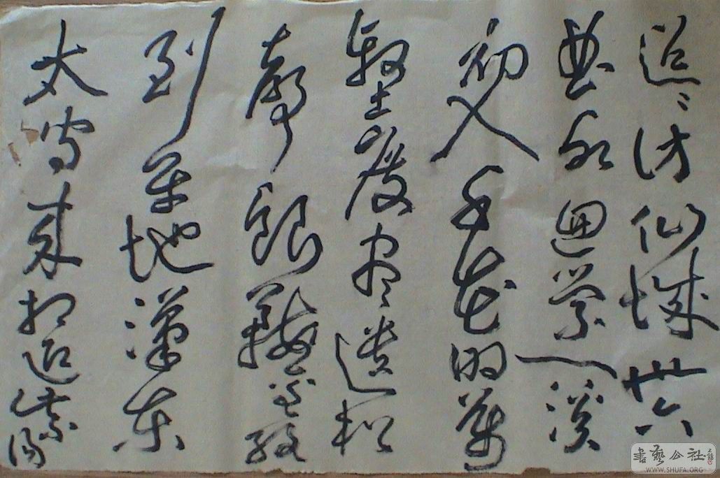 DSC07136.JPG