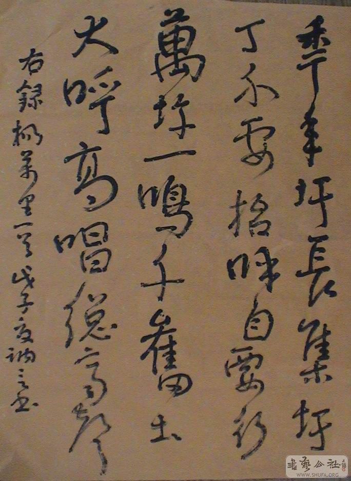 DSC07158.JPG