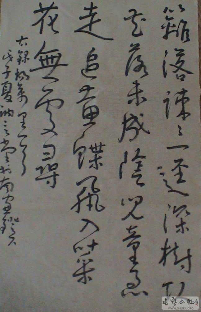 DSC07157.JPG