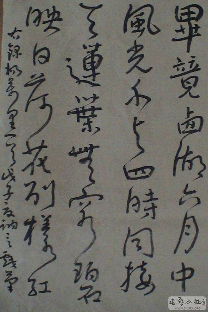 DSC07154.JPG