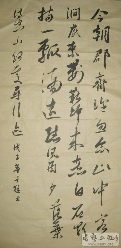S6007704.jpg