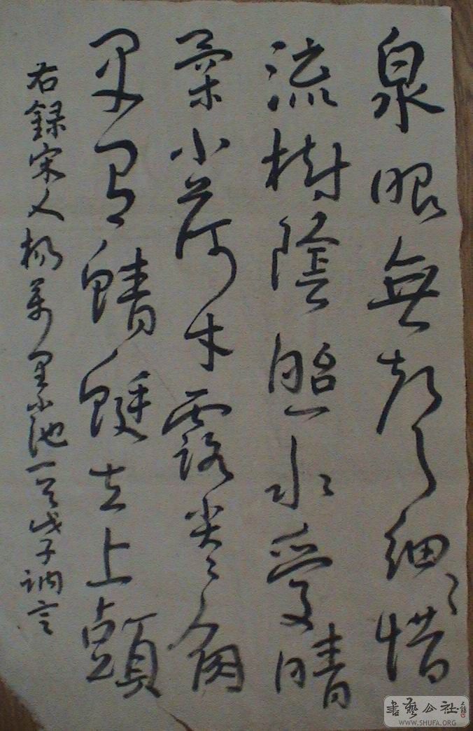 DSC07155.JPG