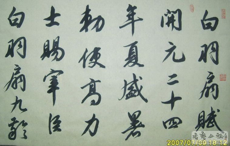 S8000029a.jpg