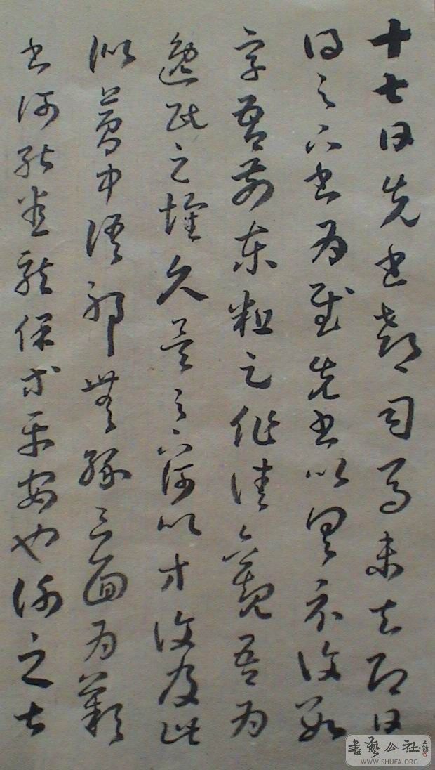 DSC07170.JPG