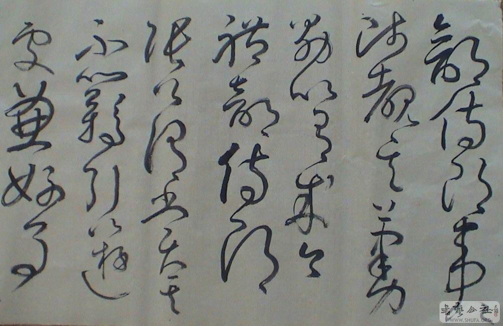 DSC07180.JPG