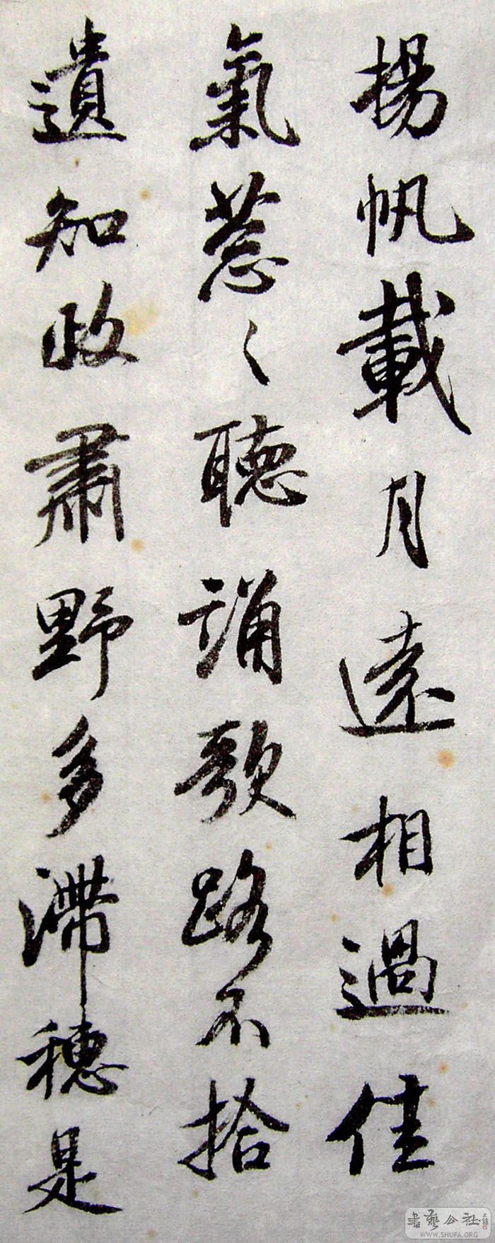 PICT6338.jpg