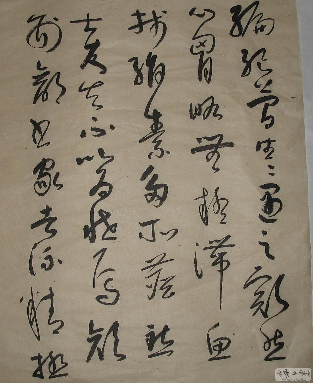 Ƭ 1376.jpg