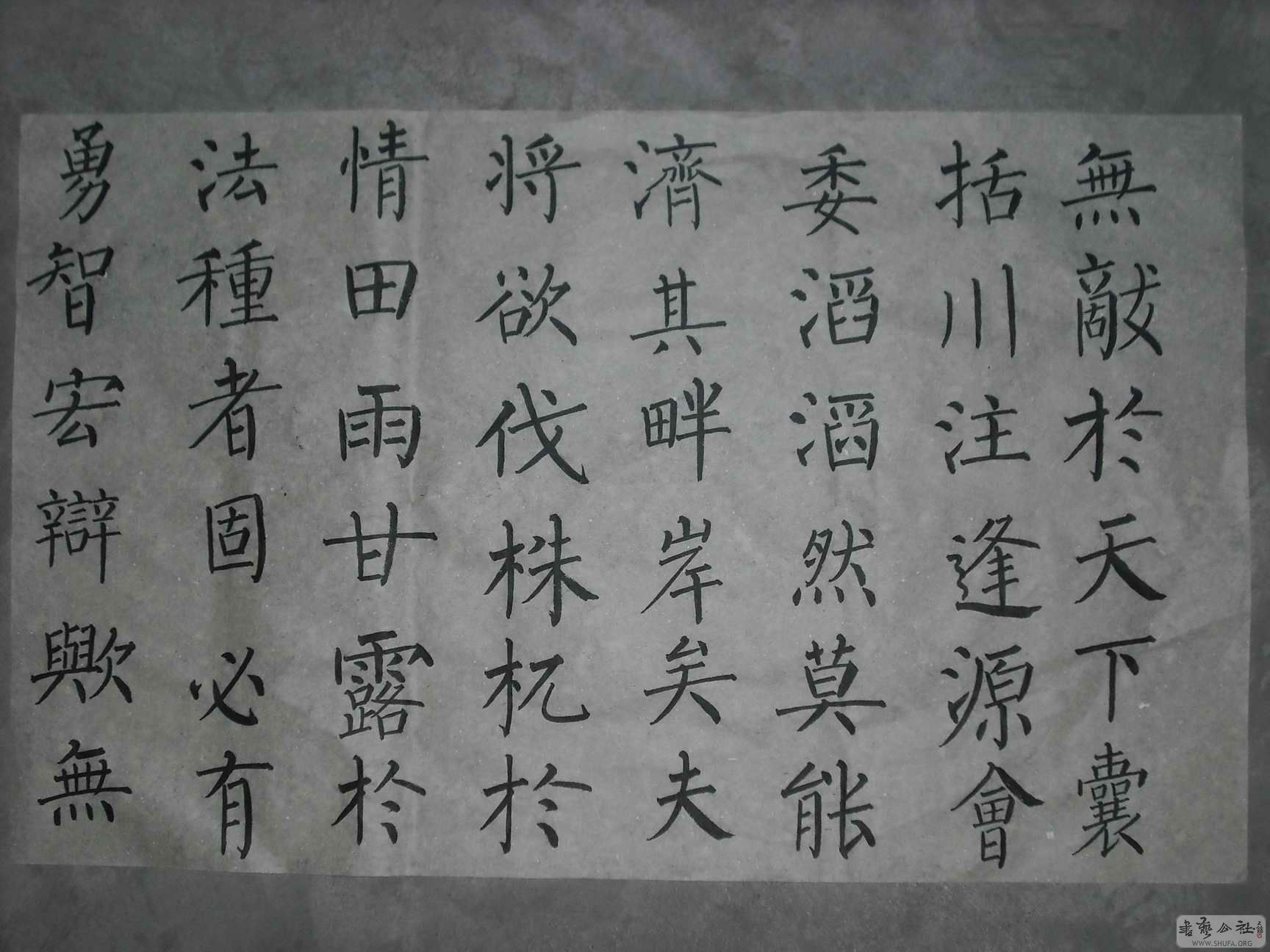 DSCF0453.JPG