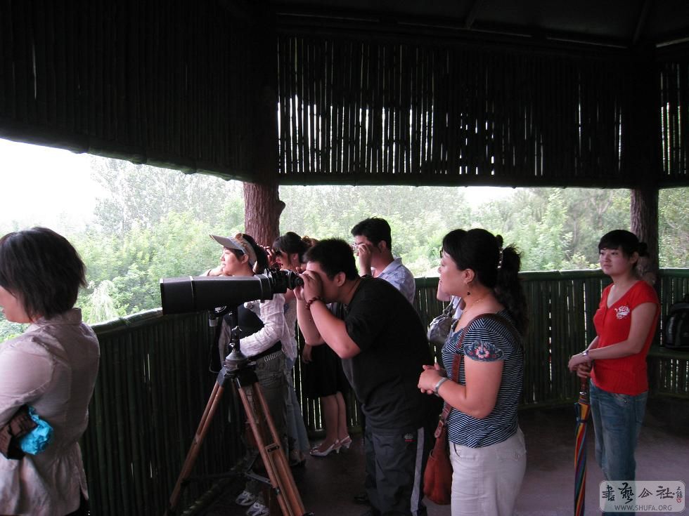 ɷ2 003.JPG