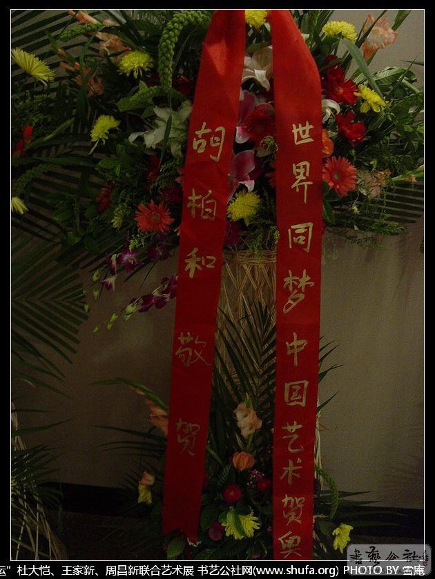 aoyun130.JPG