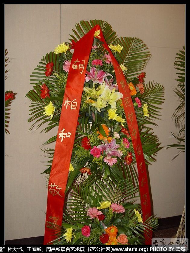 aoyun142.JPG