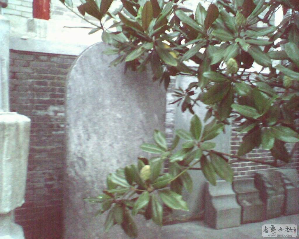 AK000479.JPG