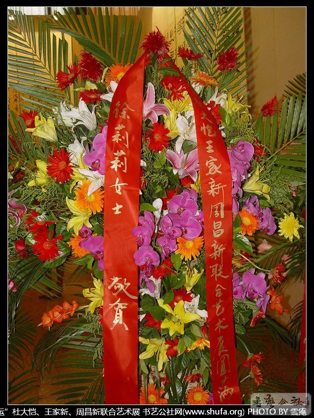 aoyun167.JPG