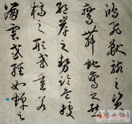 DSC04028.JPG