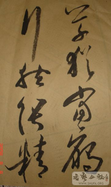 DSC04020.JPG