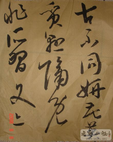 DSC04022.JPG