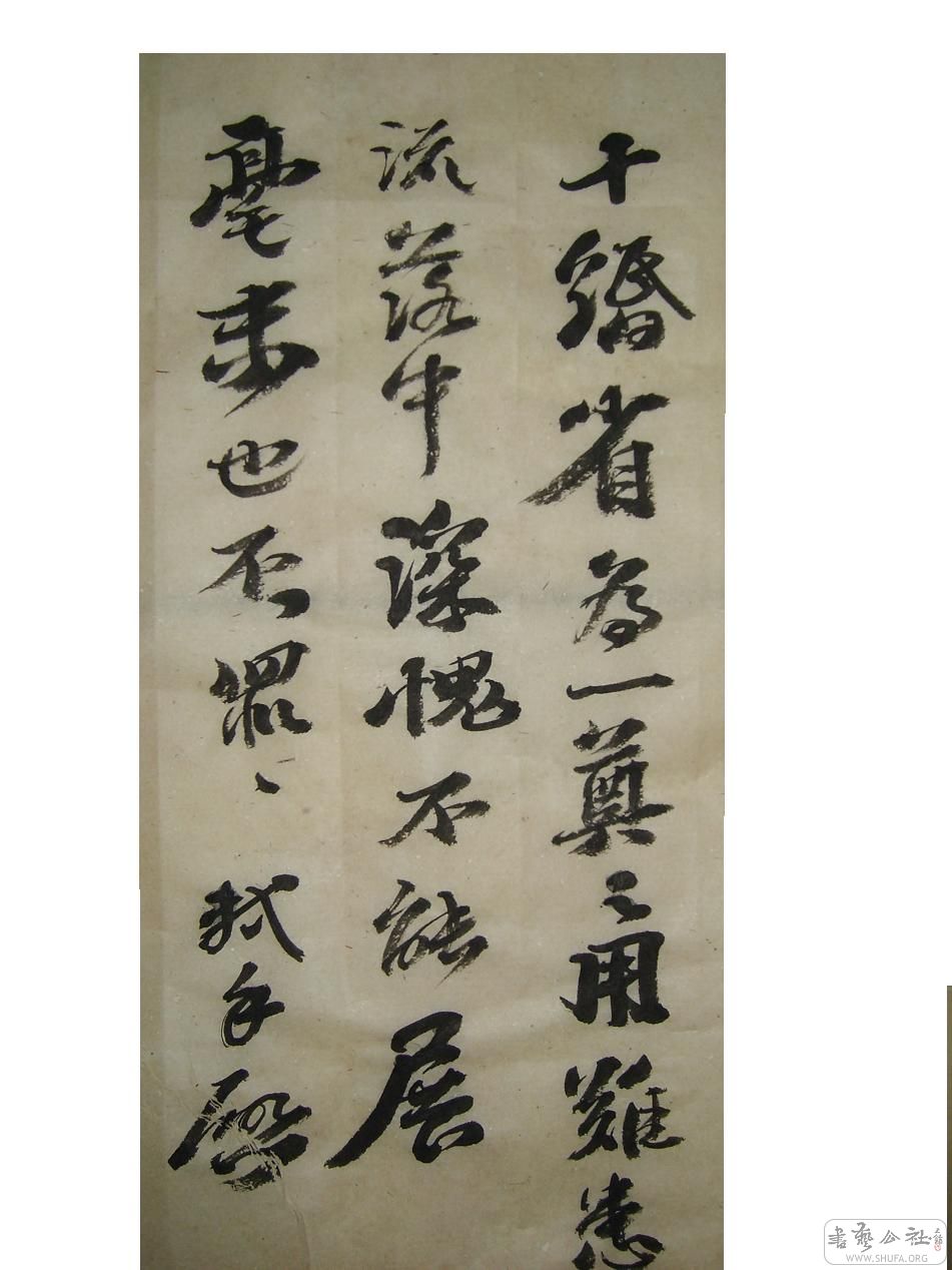 S6002020.JPG