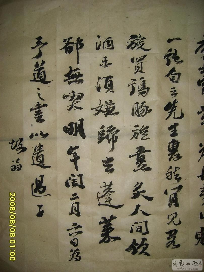 S6002027.JPG