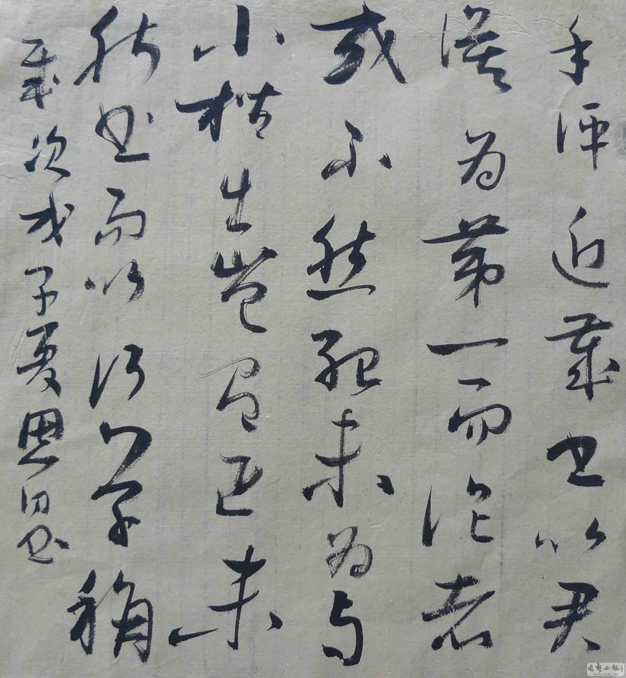P1030664.jpg