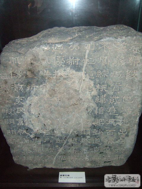 65.jpg
