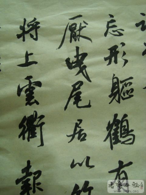 DSC00886.JPG