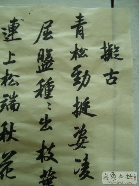 DSC00883.JPG