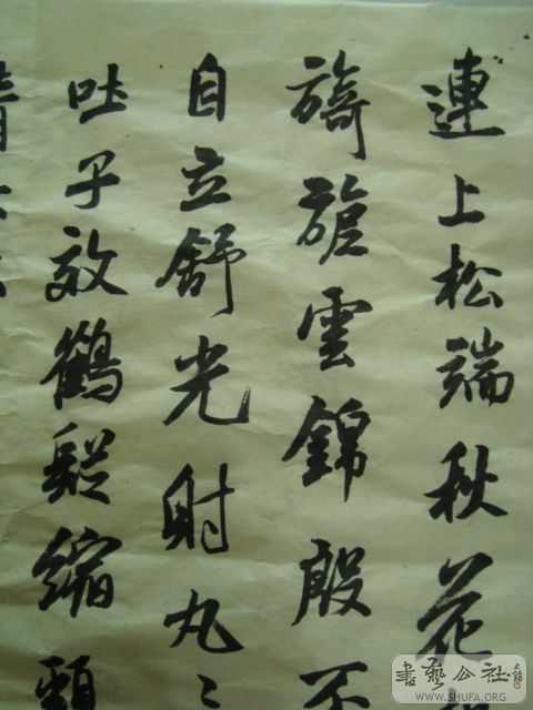 DSC00884.JPG