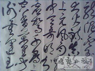 M20080809023.jpg