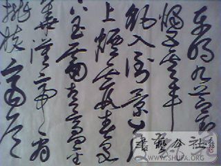 M20080809022.jpg