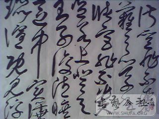 M20080809024.jpg