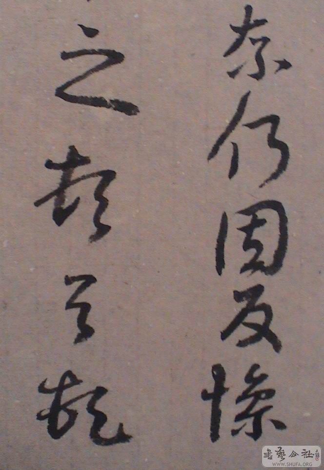 DSC07506.JPG