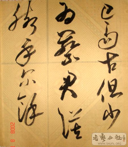 DSC04083.JPG