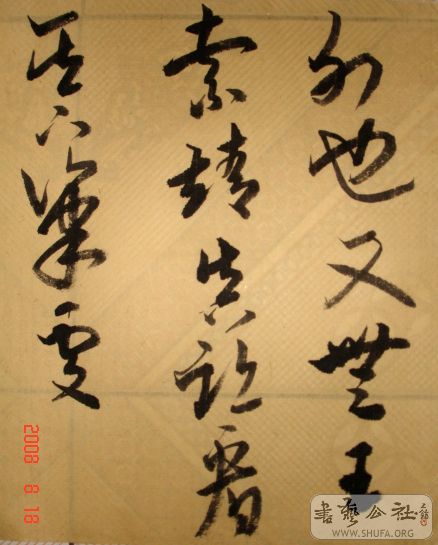 DSC04079.JPG