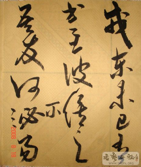 DSC04081.JPG