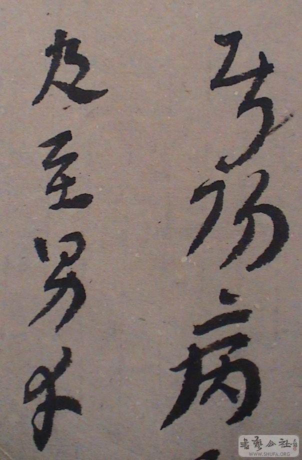 DSC07501.JPG